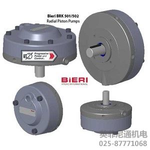 BIERI液壓泵